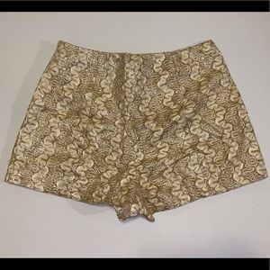 Metallic Gold Lace Shorts